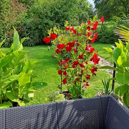 La Maison De Caro Guest house Houdelaincourt