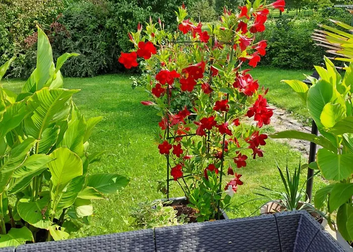 La Maison De Caro Maison d'hôtes Houdelaincourt
