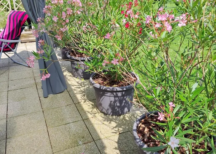 La Maison De Caro Maison d'hôtes Houdelaincourt