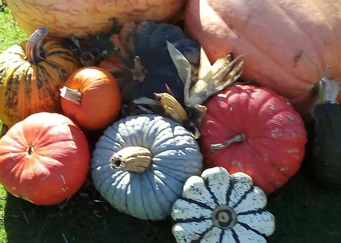 La Maison De Caro Maison d'hôtes *