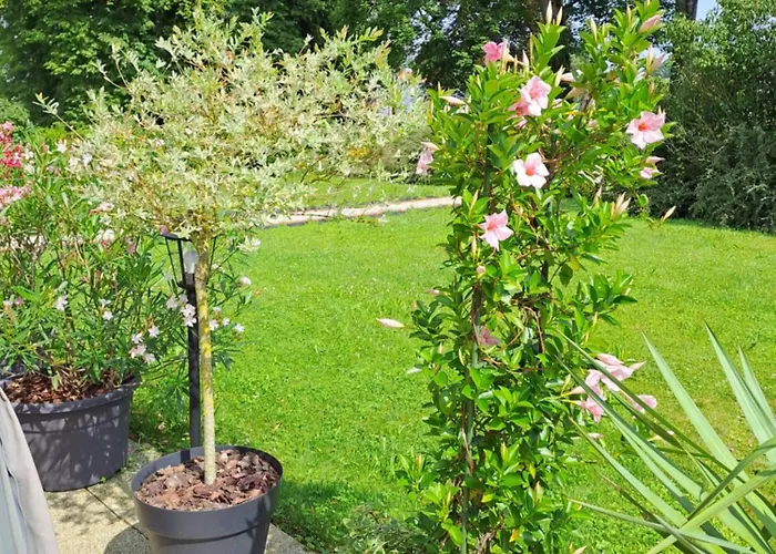 Maison d'hôtes La Maison De Caro Houdelaincourt